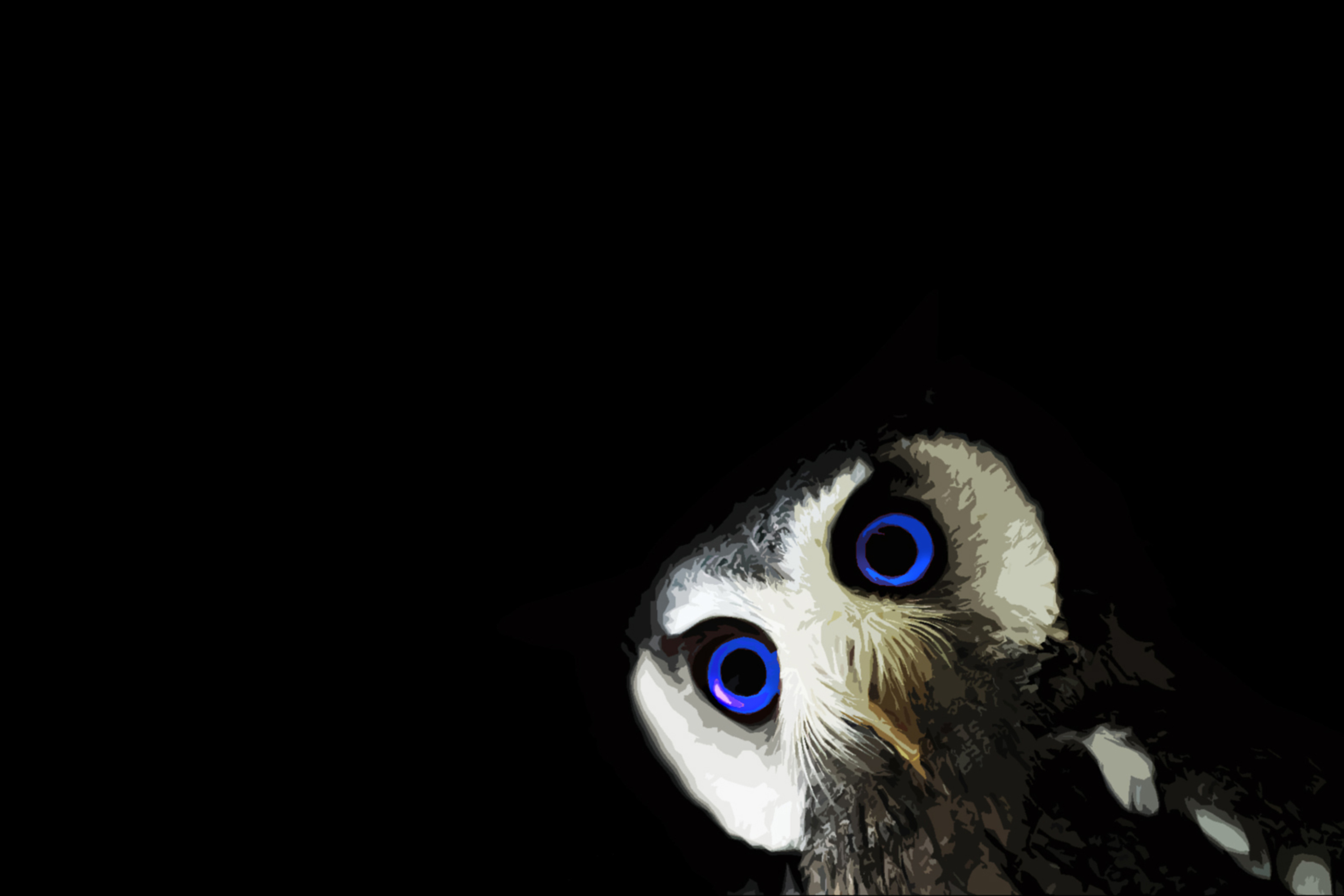 Funny Owl With Big Blue Eyes wallpaper 2880x1920