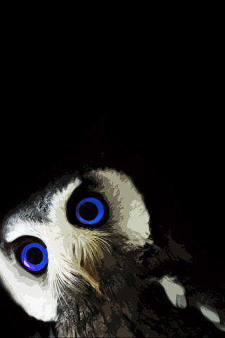 Funny Owl With Big Blue Eyes wallpaper 320x480