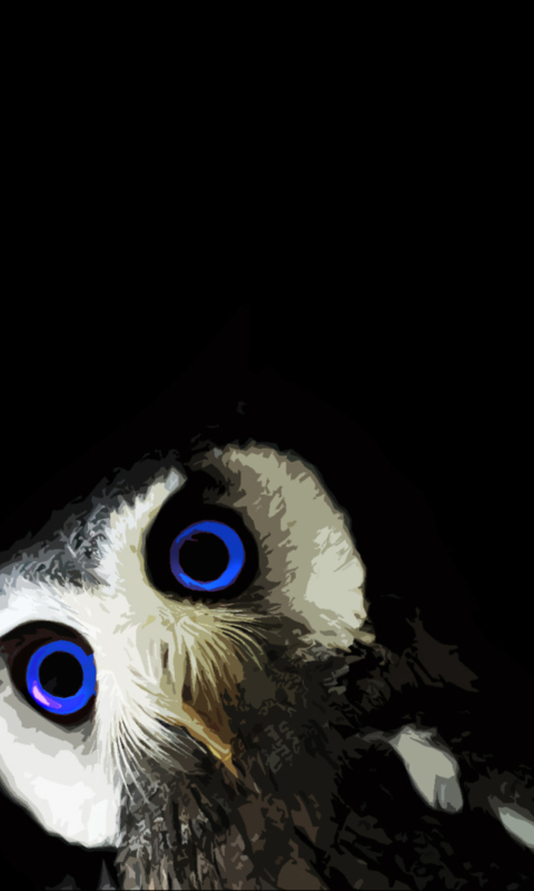 Обои Funny Owl With Big Blue Eyes 480x800