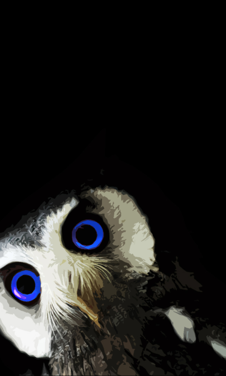 Funny Owl With Big Blue Eyes wallpaper 768x1280