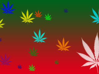 Screenshot №1 pro téma Weed Colours 320x240
