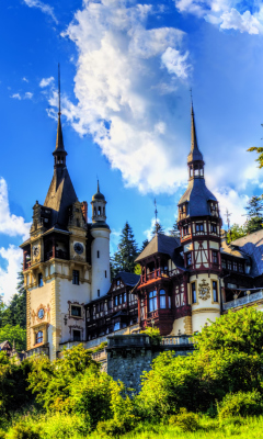 Обои Peles Castle In Romania 240x400