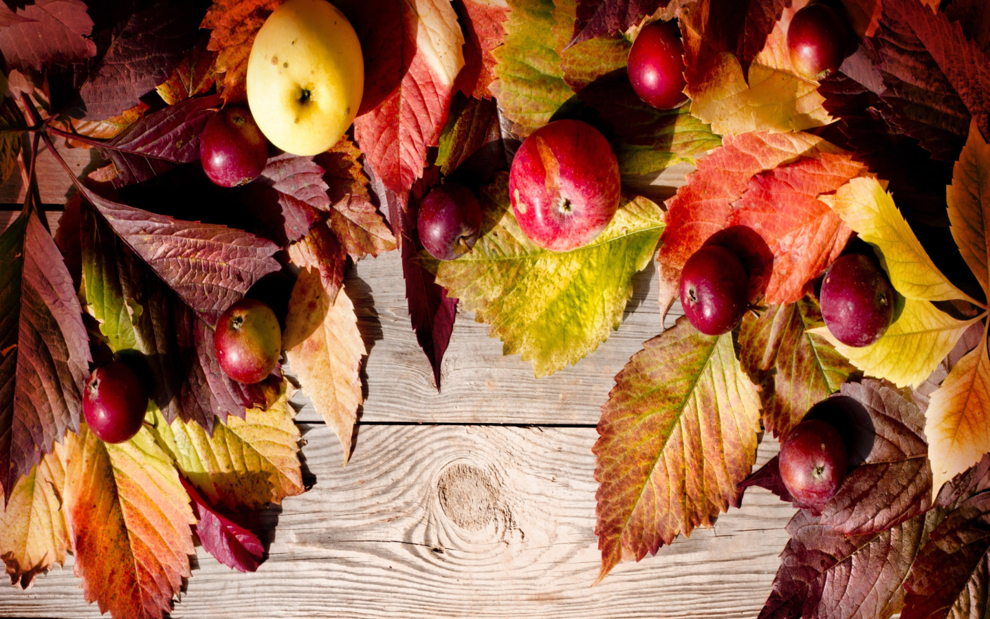 Sfondi Happy Autumn 1440x900