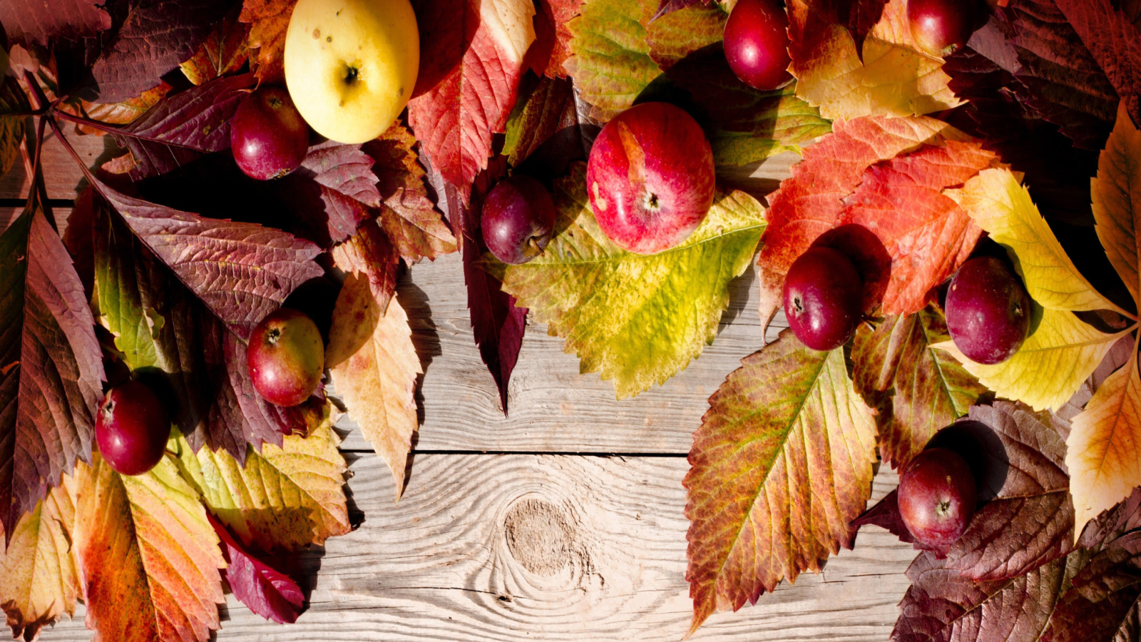 Happy Autumn wallpaper 1600x900