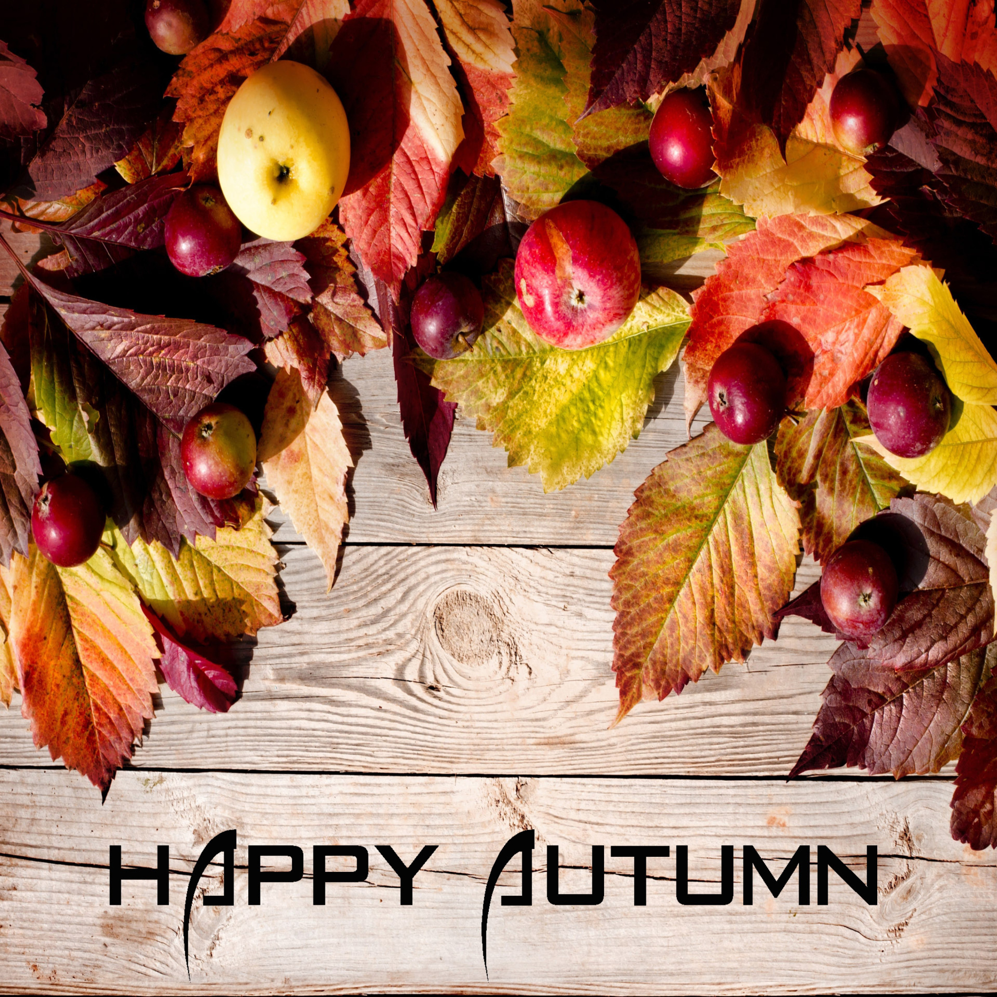 Happy Autumn wallpaper 2048x2048