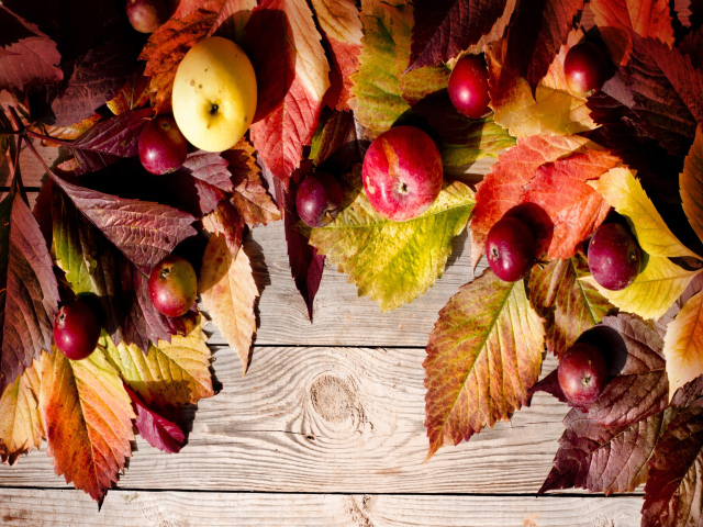 Happy Autumn wallpaper 640x480