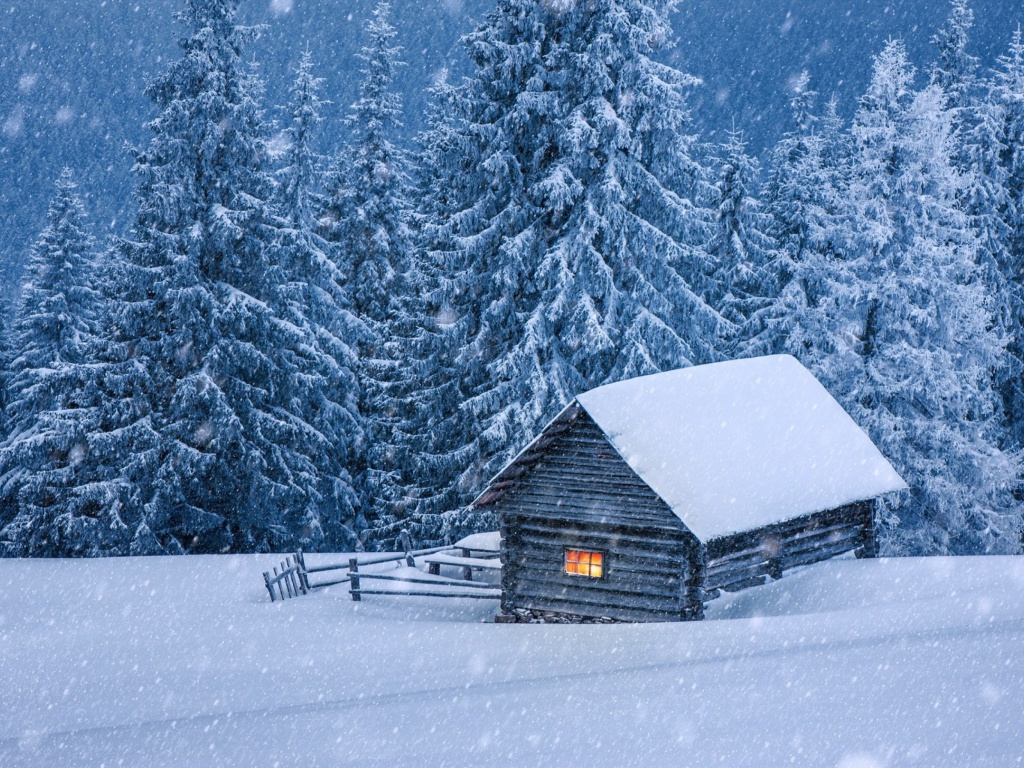 Das House in winter forest Wallpaper 1024x768