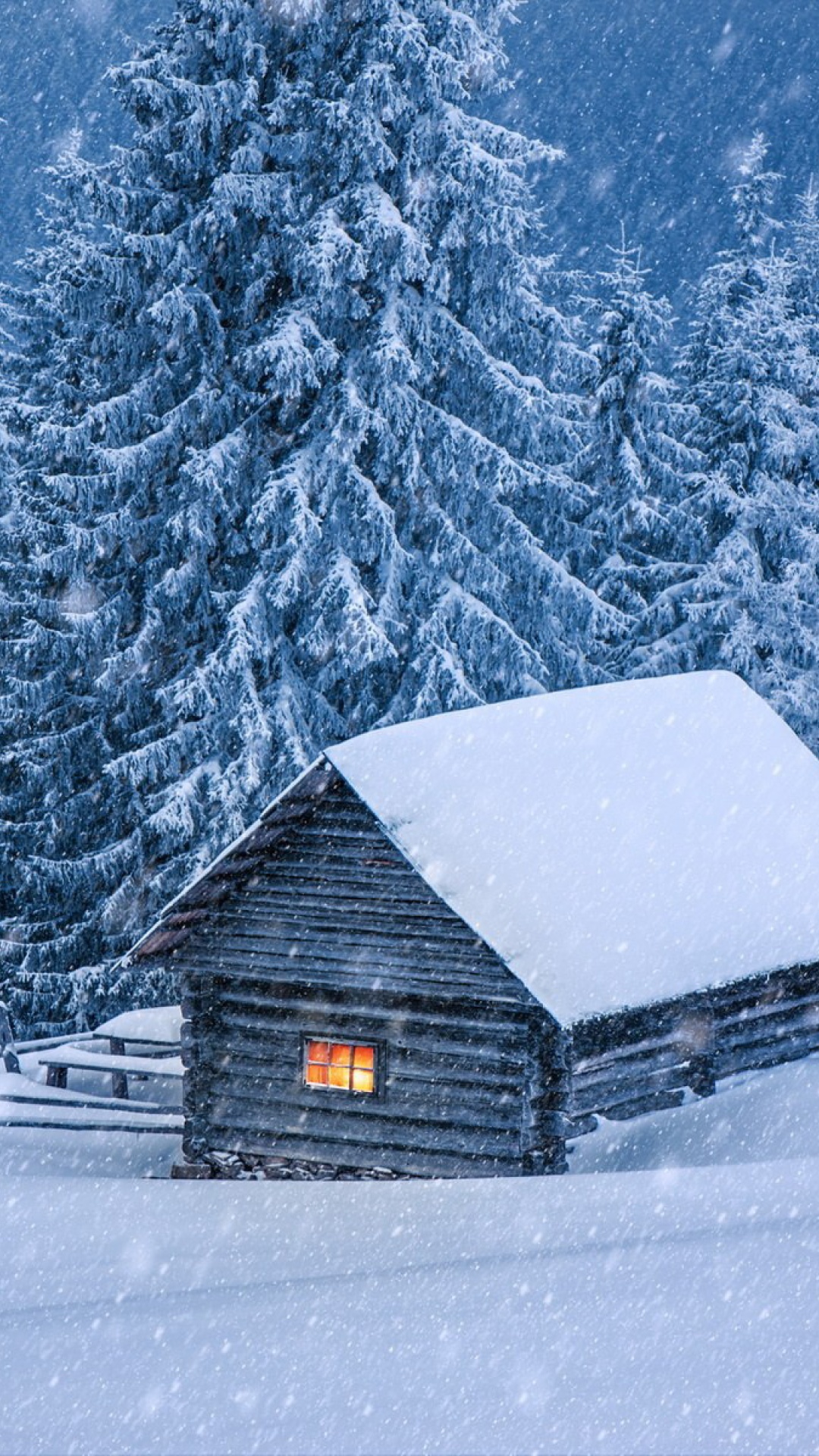 House in winter forest wallpaper 1080x1920