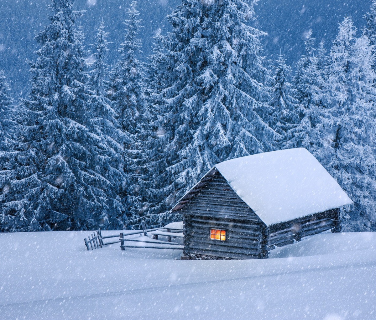 Fondo de pantalla House in winter forest 1200x1024