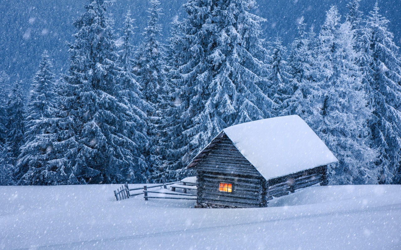 Sfondi House in winter forest 1280x800