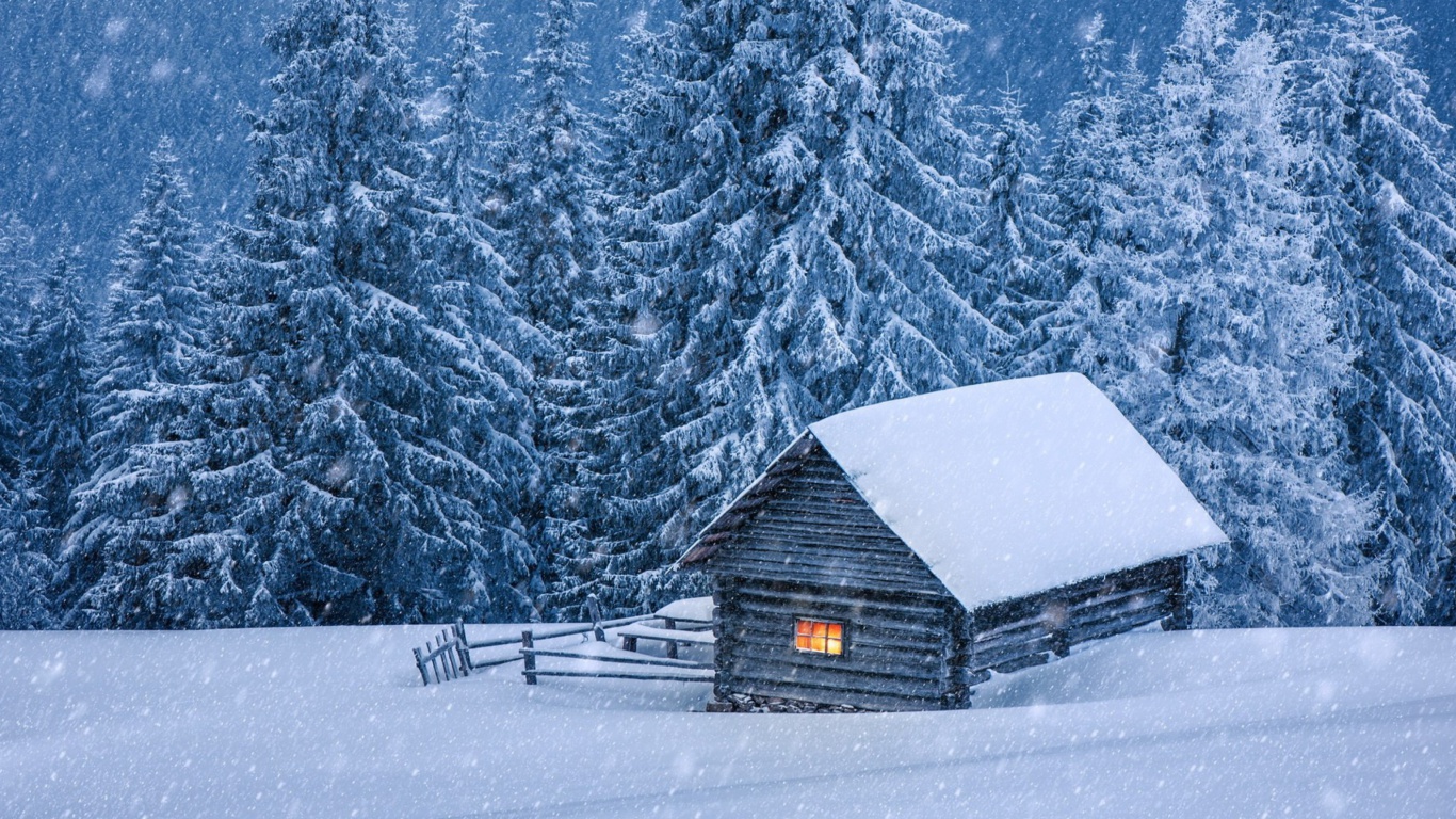 Das House in winter forest Wallpaper 1366x768