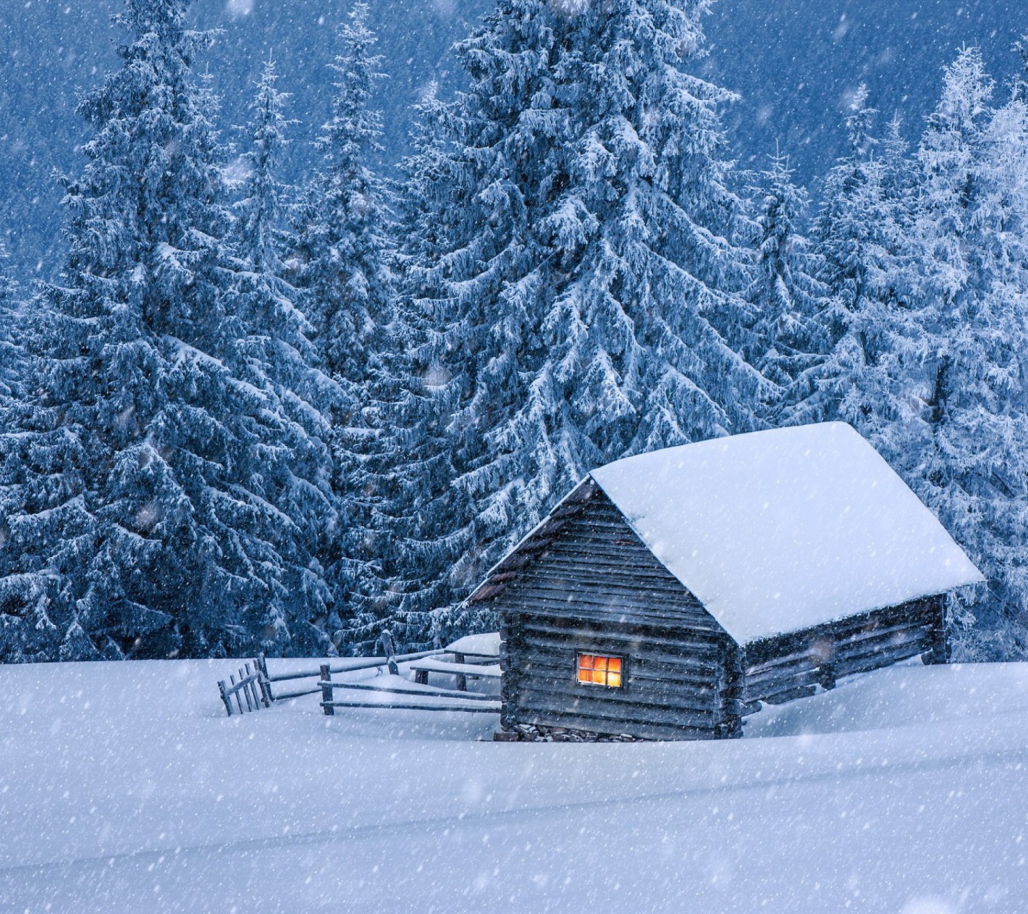House in winter forest wallpaper 1440x1280