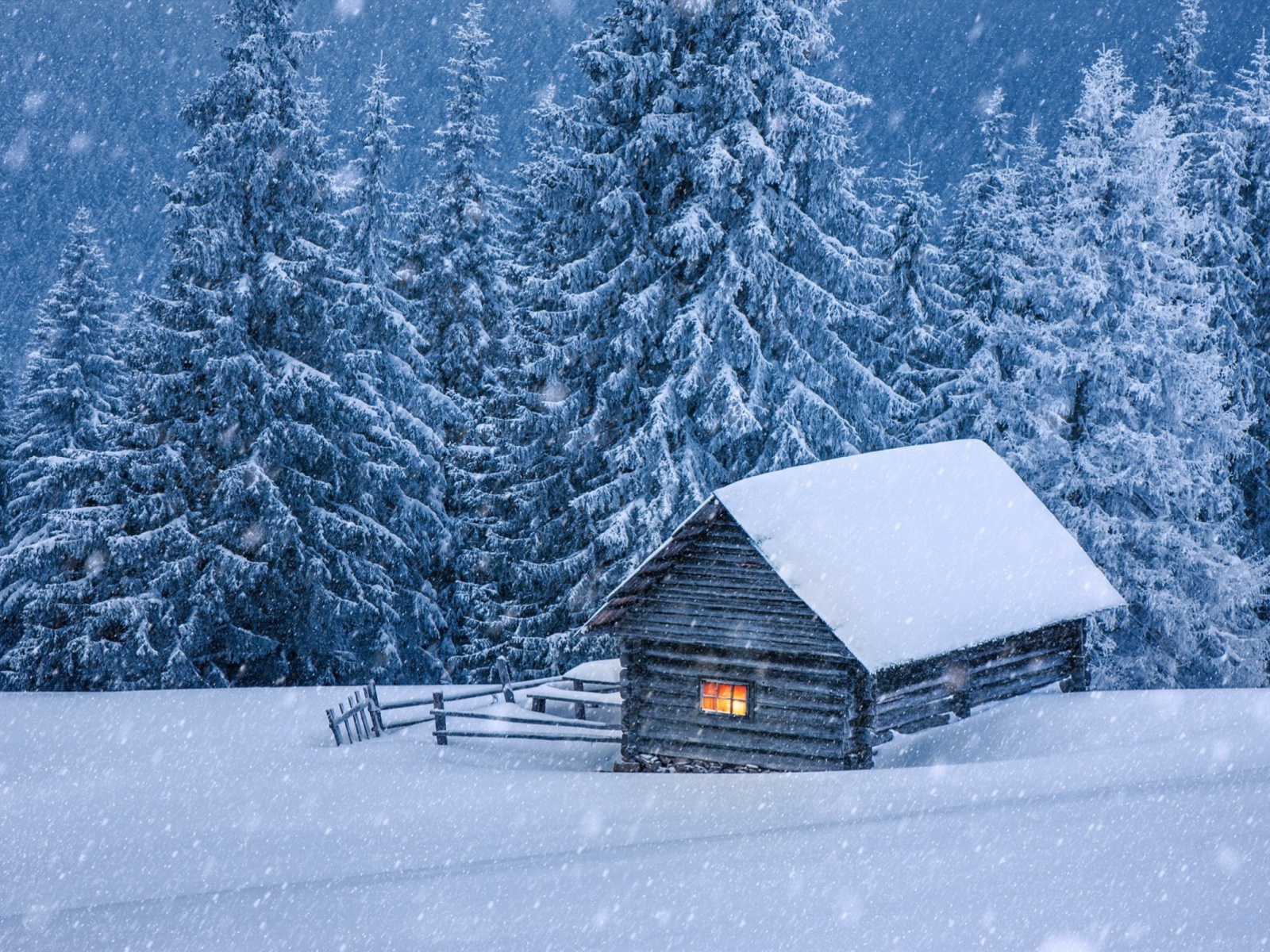 Fondo de pantalla House in winter forest 1600x1200