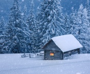 Das House in winter forest Wallpaper 176x144
