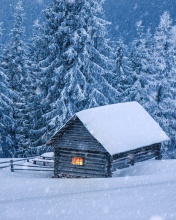 House in winter forest wallpaper 176x220