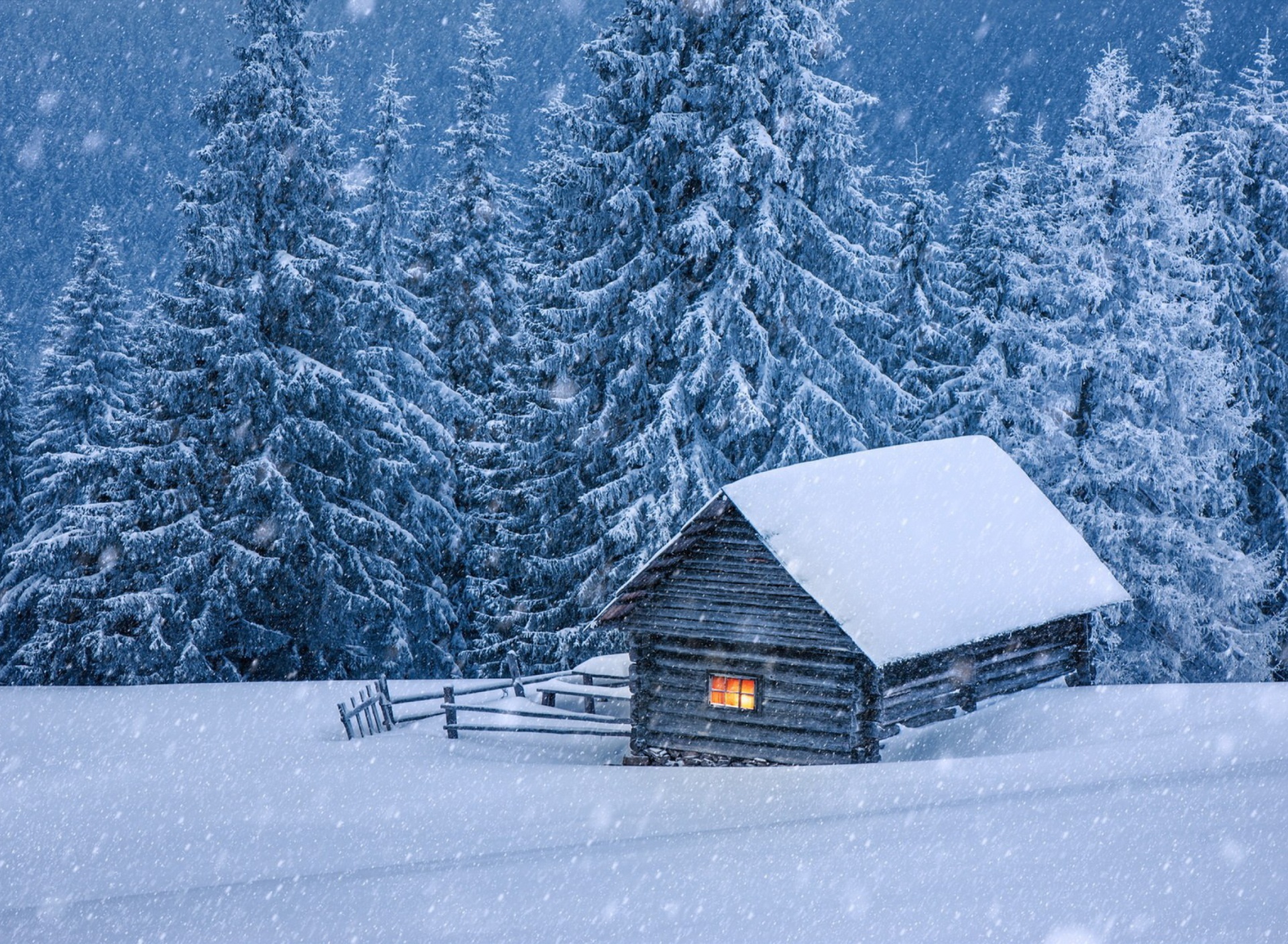 Sfondi House in winter forest 1920x1408