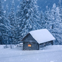 House in winter forest wallpaper 208x208