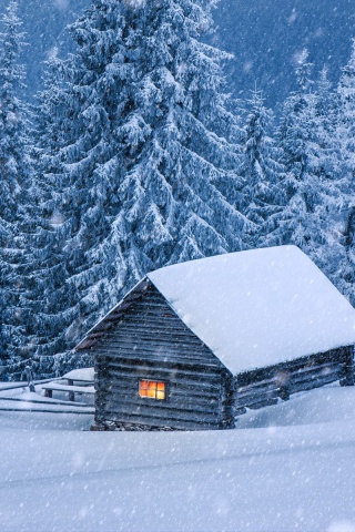 Sfondi House in winter forest 320x480