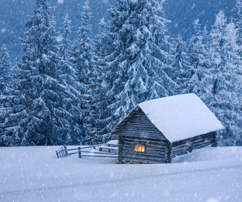 Sfondi House in winter forest 480x400