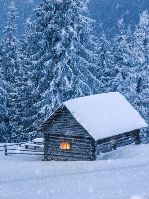 House in winter forest wallpaper 480x640
