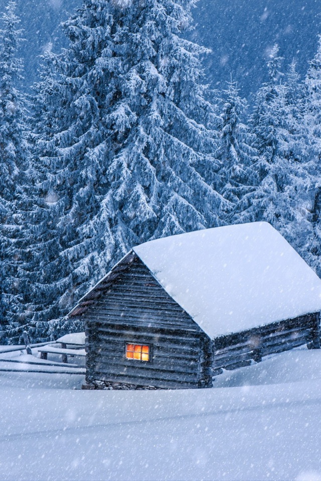 Sfondi House in winter forest 640x960