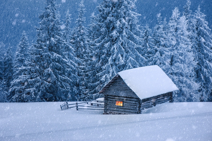 House in winter forest wallpaper