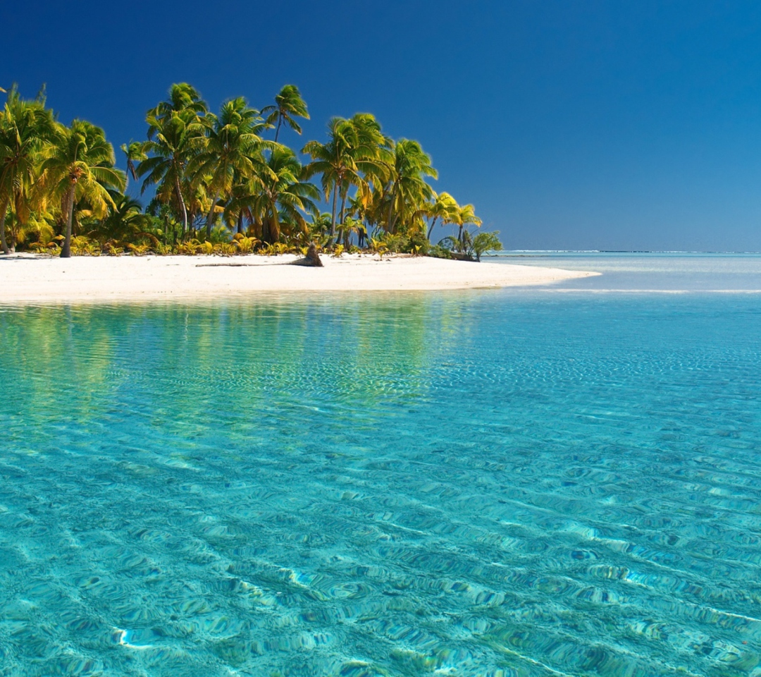 Обои Tropical White Beach With Crystal Clear Water 1080x960