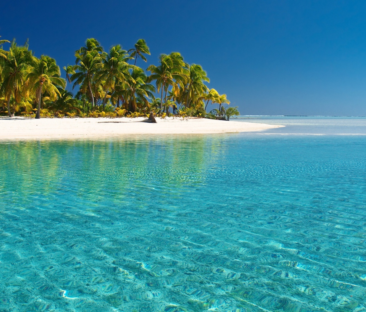 Обои Tropical White Beach With Crystal Clear Water 1200x1024