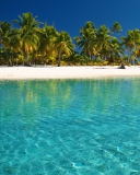 Tropical White Beach With Crystal Clear Water screenshot #1 128x160