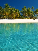 Fondo de pantalla Tropical White Beach With Crystal Clear Water 132x176
