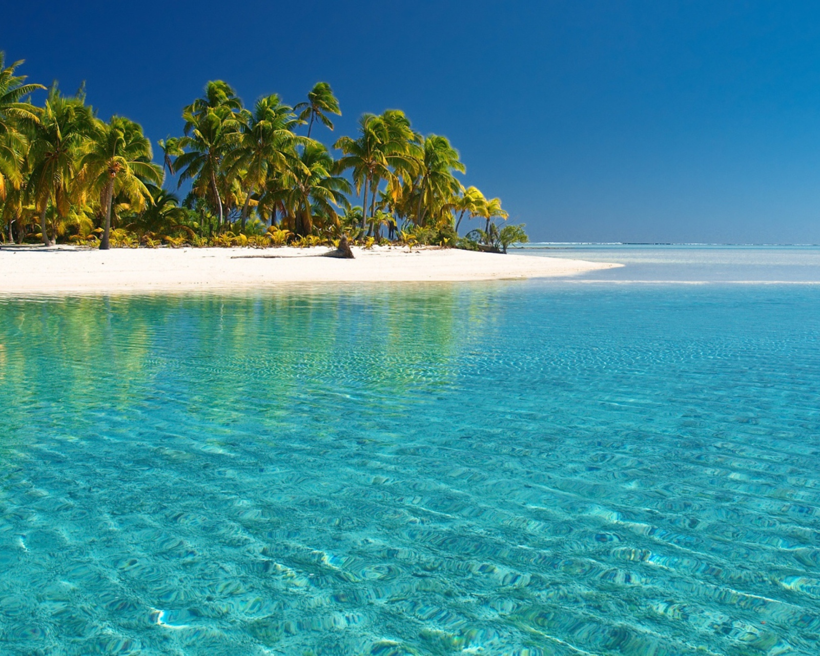 Tropical White Beach With Crystal Clear Water wallpaper 1600x1280