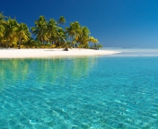 Tropical White Beach With Crystal Clear Water wallpaper 176x144