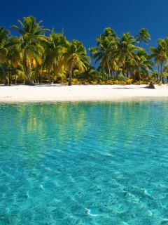 Tropical White Beach With Crystal Clear Water wallpaper 240x320