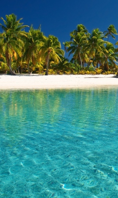 Das Tropical White Beach With Crystal Clear Water Wallpaper 240x400