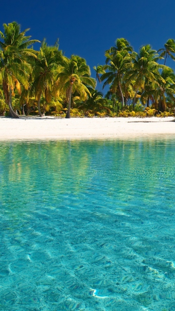 Tropical White Beach With Crystal Clear Water screenshot #1 360x640