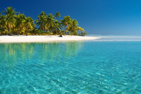 Обои Tropical White Beach With Crystal Clear Water 480x320