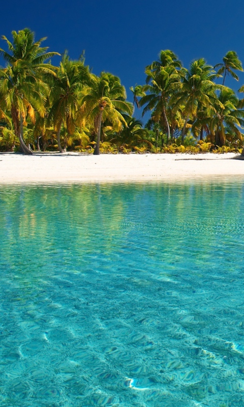 Fondo de pantalla Tropical White Beach With Crystal Clear Water 480x800