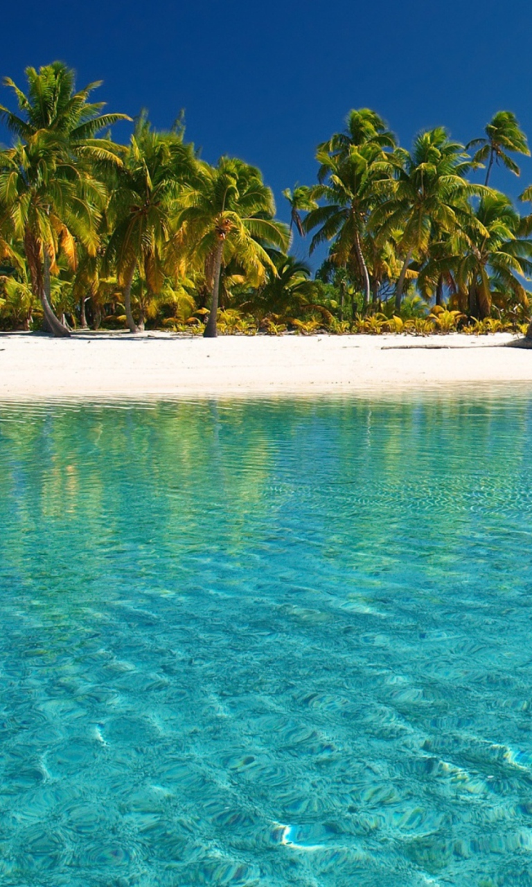Das Tropical White Beach With Crystal Clear Water Wallpaper 768x1280