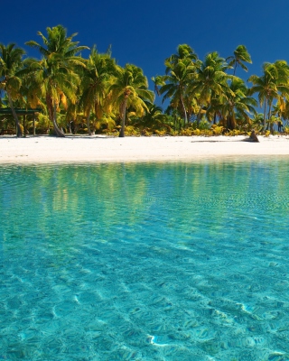 Tropical White Beach With Crystal Clear Water Background for 240x320