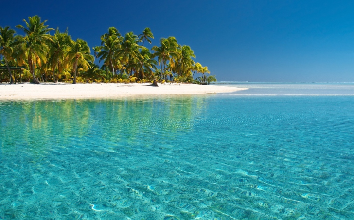 Tropical White Beach With Crystal Clear Water screenshot #1