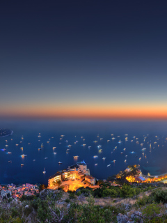 Das Monaco Seaside View Wallpaper 240x320