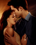 Обои Twilight Love Triangle 128x160