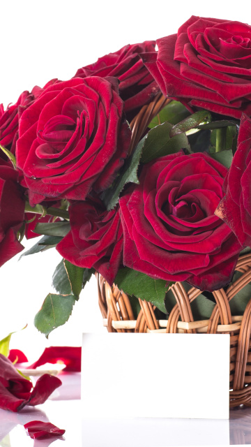 Fondo de pantalla Roses Bouquet 360x640