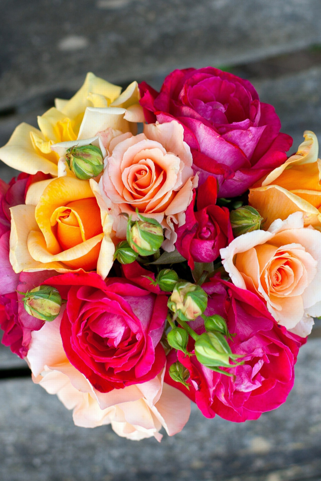 Das Rustic Rose Bouquet Wallpaper 640x960