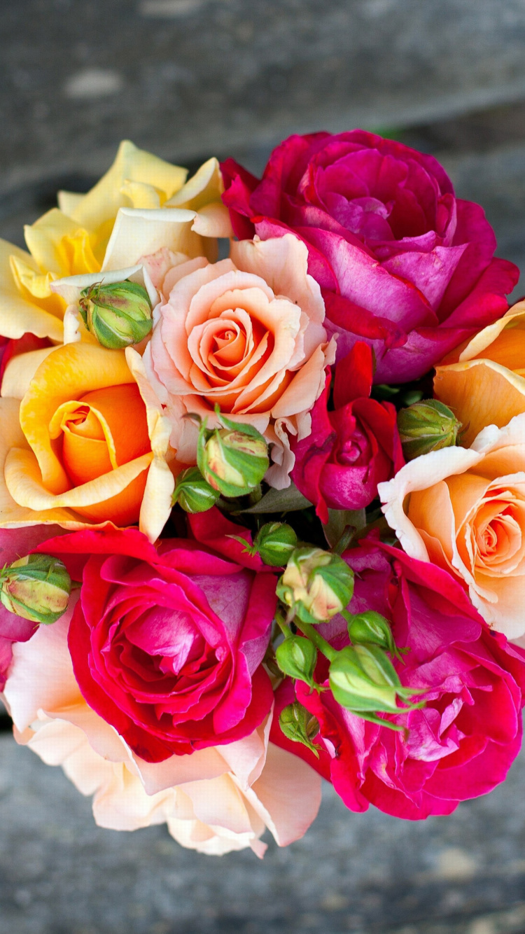 Обои Rustic Rose Bouquet 750x1334