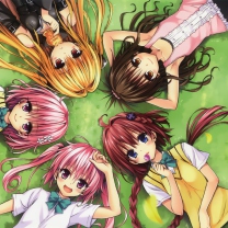 Screenshot №1 pro téma To Love-Ru 208x208