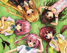 Screenshot №1 pro téma To Love-Ru 220x176