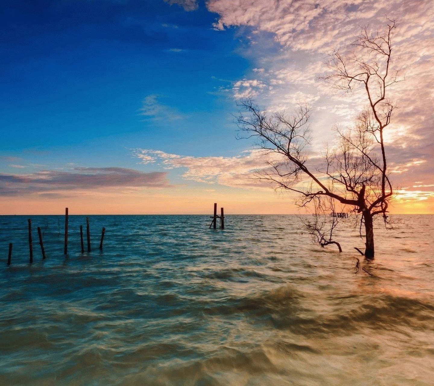 Penang, Malaysian state wallpaper 1440x1280