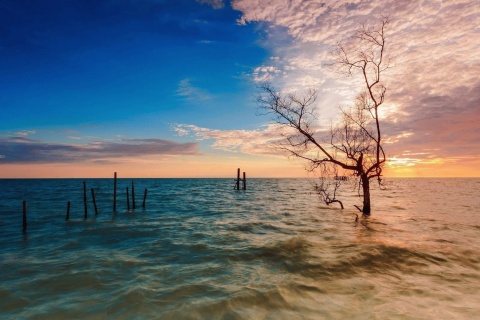 Penang, Malaysian state screenshot #1 480x320