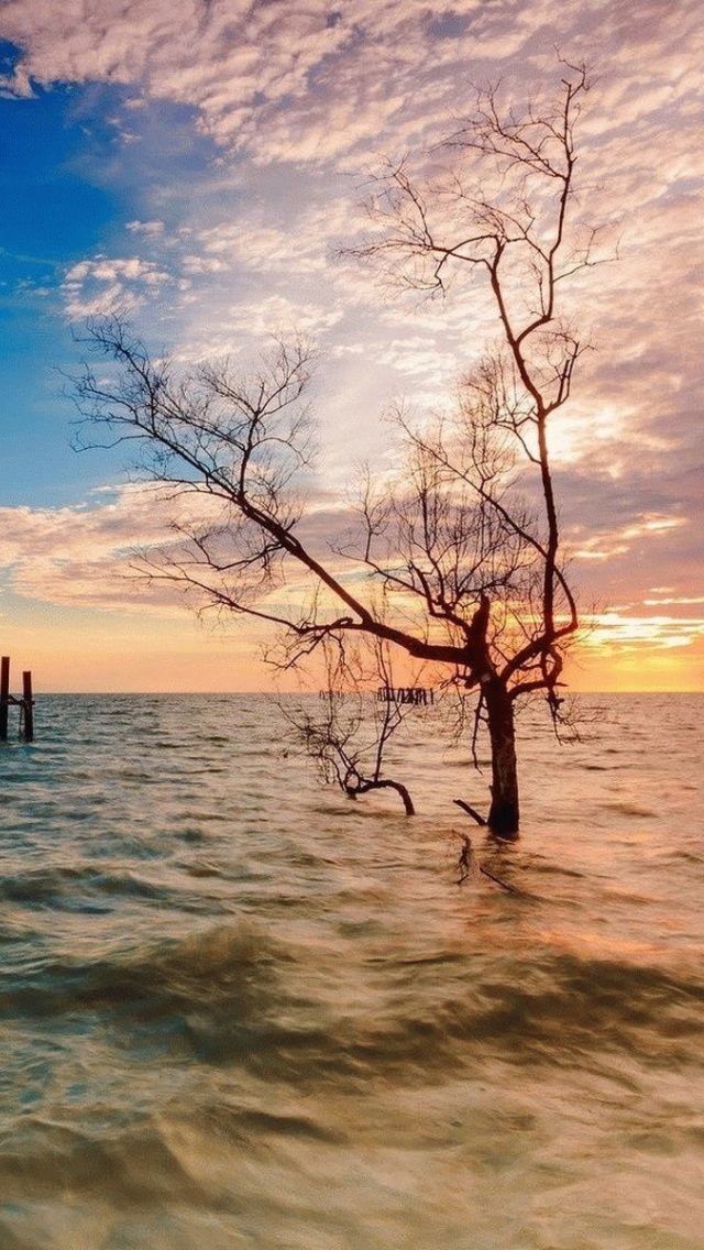 Das Penang, Malaysian state Wallpaper 640x1136